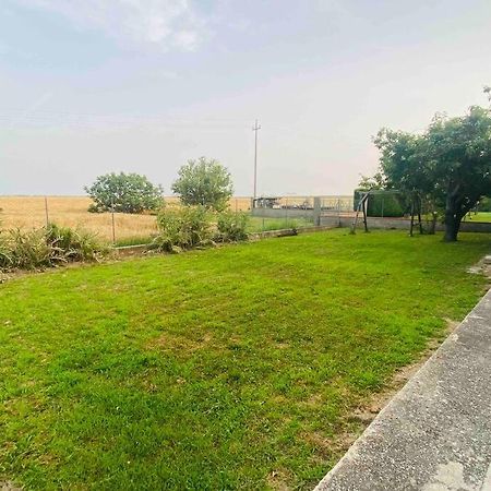 Вилла “Casa Alex” A Pochi Km Dal Mare Скардовари Экстерьер фото