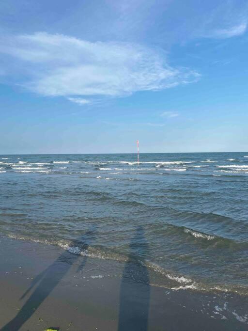 Вилла “Casa Alex” A Pochi Km Dal Mare Скардовари Экстерьер фото